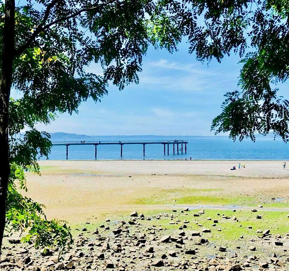 A peaceful view of a long pier extending into calm blue water on a sunny day, representing the clear horizon of life after a crisis.