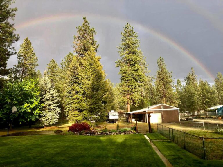 Success looks like a Rainbow