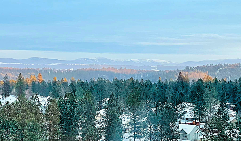 Planning a major move to Spokane, Washington, with a scenic winter view of pine trees and mountains from a third-floor apartment.